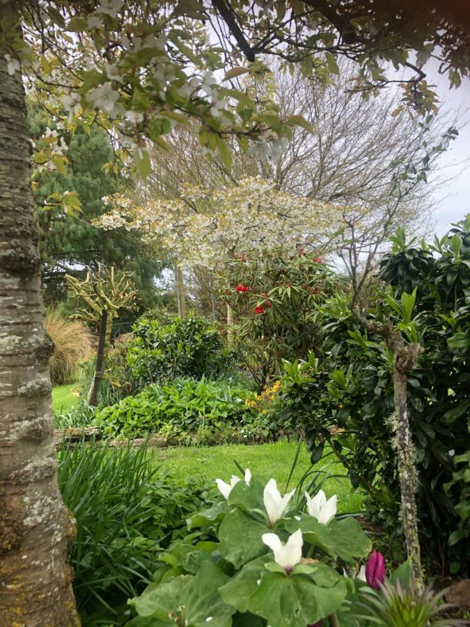 Southland Organic Farmstay Invercargill Eksteriør billede